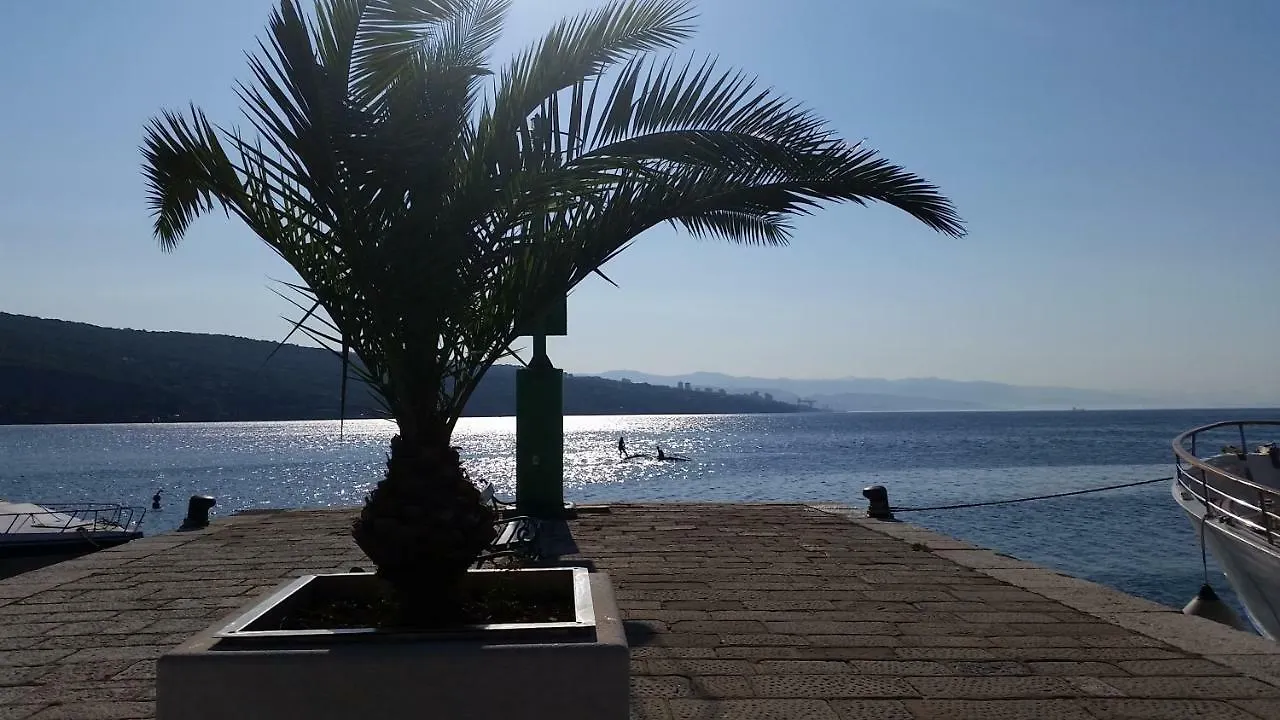 Guest house Apartments Jovic Opatija Icici